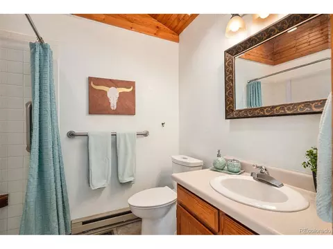 156 Deerhaven Dr, Bailey, CO 80421 photo 13