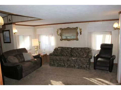 1046 Macdavidson Cir, Dacono, CO 80514 photo 2