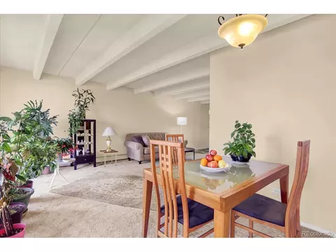 4801 E 9th Ave #601S, Denver, CO 80220 photo 5