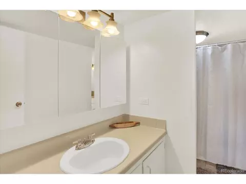 4801 E 9th Ave #601S, Denver, CO 80220 photo 18