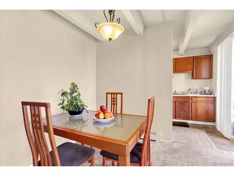 4801 E 9th Ave #601S, Denver, CO 80220 photo 6