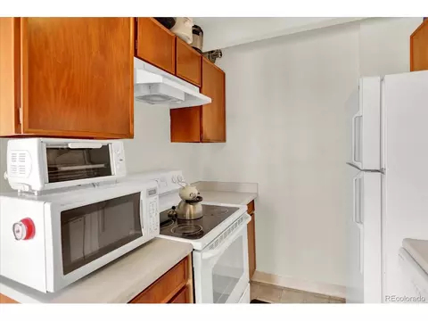 4801 E 9th Ave #601S, Denver, CO 80220 photo 22