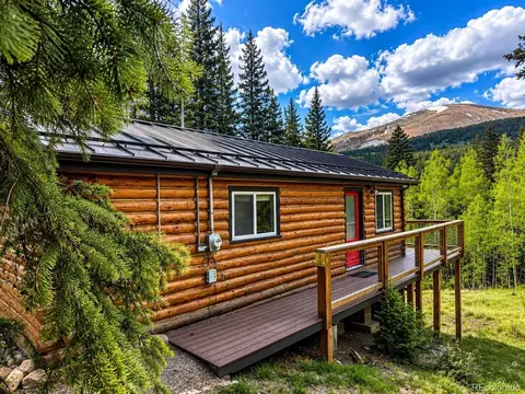 467 Nuthatch Rd, Alma, CO 80420