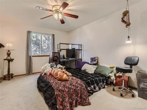 10932 Eagle Run Dr, Parker, CO 80138 photo 19