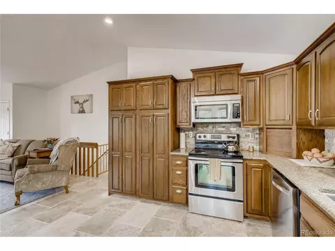 937 S Pine Dr, Bailey, CO 80421 photo 13
