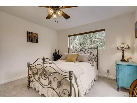 937 S Pine Dr, Bailey, CO 80421 photo 15