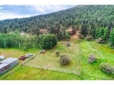 937 S Pine Dr, Bailey, CO 80421 photo 32