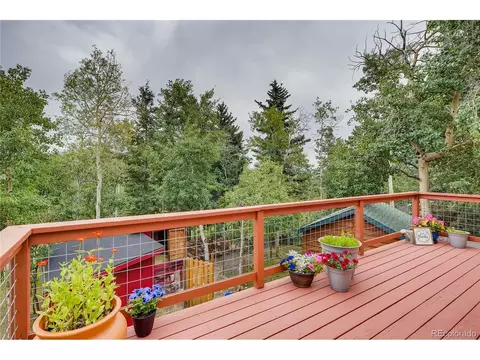 937 S Pine Dr, Bailey, CO 80421 photo 23