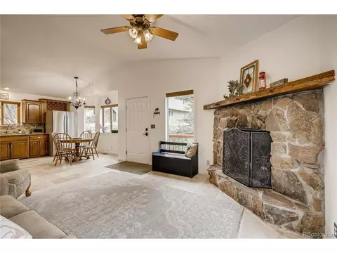 937 S Pine Dr, Bailey, CO 80421 photo 10