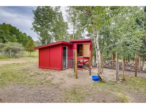 937 S Pine Dr, Bailey, CO 80421 photo 29