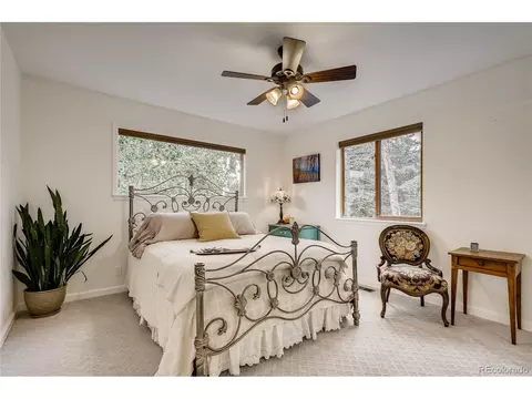 937 S Pine Dr, Bailey, CO 80421 photo 14