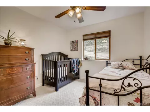 937 S Pine Dr, Bailey, CO 80421 photo 17