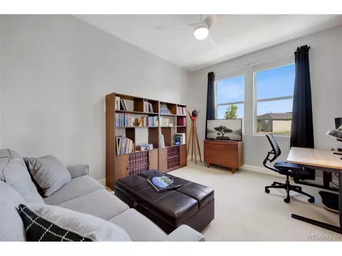 7008 Lightning Ct, Timnath, CO 80547 photo 23