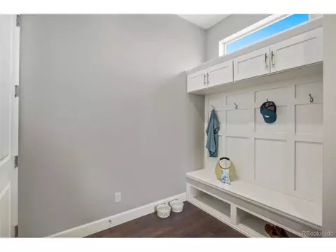7008 Lightning Ct, Timnath, CO 80547 photo 24