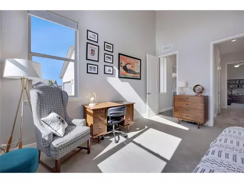7008 Lightning Ct, Timnath, CO 80547 photo 21
