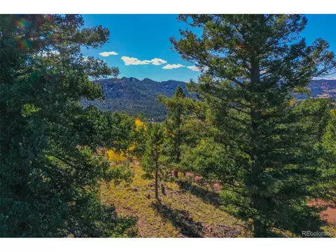 480 Ponderosa Dr, Florissant, CO 80816