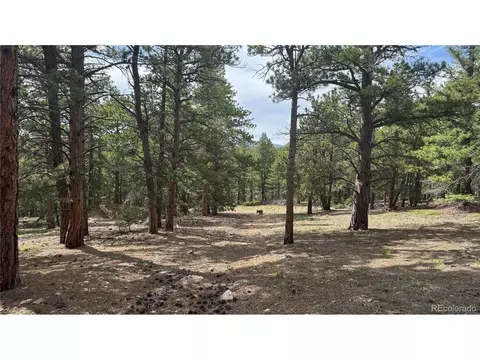 200 Coughlin Meadows Rd, Boulder, CO 80302 photo 20