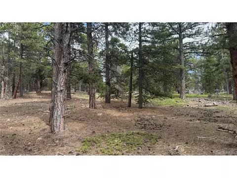 200 Coughlin Meadows Rd, Boulder, CO 80302 photo 22