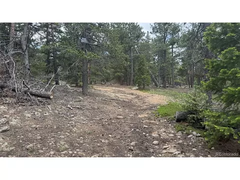 200 Coughlin Meadows Rd, Boulder, CO 80302 photo 24