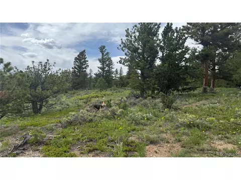 200 Coughlin Meadows Rd, Boulder, CO 80302 photo 18