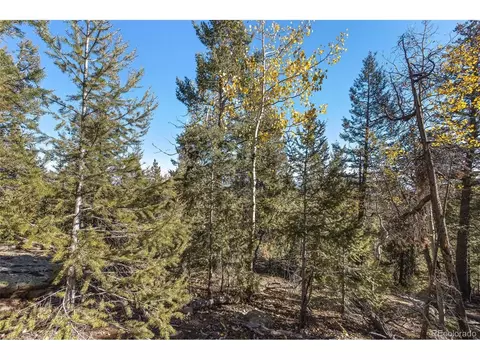 10208 Christopher Dr, Conifer, CO 80433 photo 9