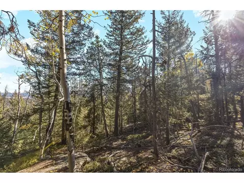 10208 Christopher Dr, Conifer, CO 80433 photo 11