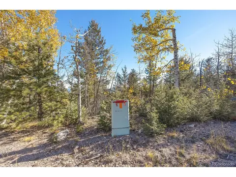 10208 Christopher Dr, Conifer, CO 80433 photo 8