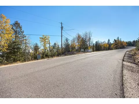 10208 Christopher Dr, Conifer, CO 80433 photo 7