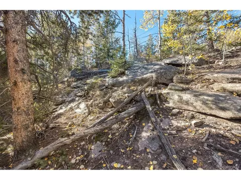 10208 Christopher Dr, Conifer, CO 80433 photo 10