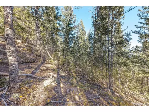 10208 Christopher Dr, Conifer, CO 80433 photo 12