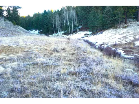 637 Valley Rd, Divide, CO 80814 photo 6