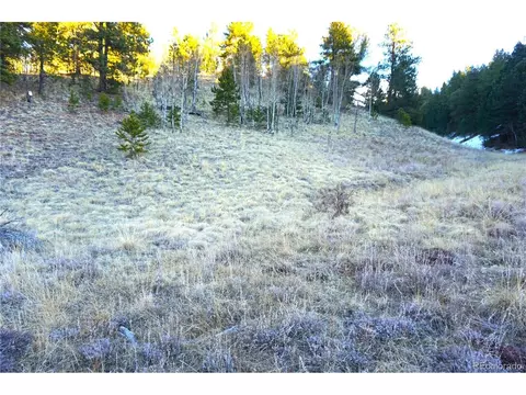 637 Valley Rd, Divide, CO 80814 photo 7