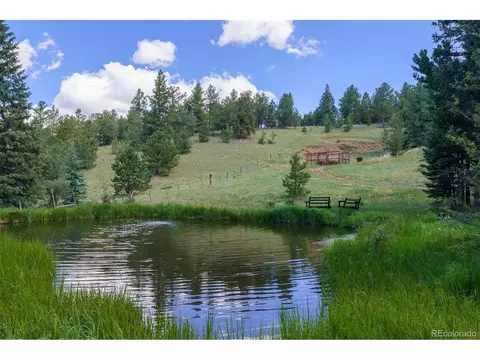 Undisclosed, Divide, CO 80814 photo 37