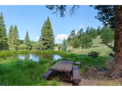 Undisclosed, Divide, CO 80814 photo 36