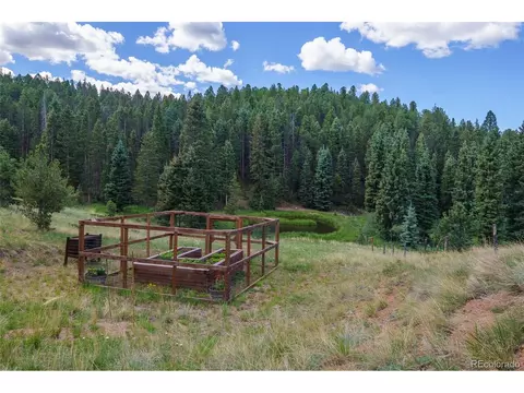 Undisclosed, Divide, CO 80814 photo 38
