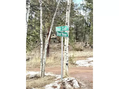 30929 Bear Cub Trl, Conifer, CO 80433 photo 12