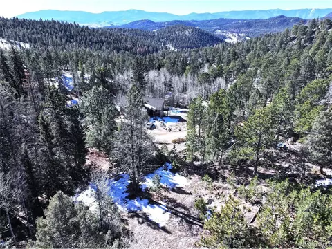 30929 Bear Cub Trl, Conifer, CO 80433 photo 2