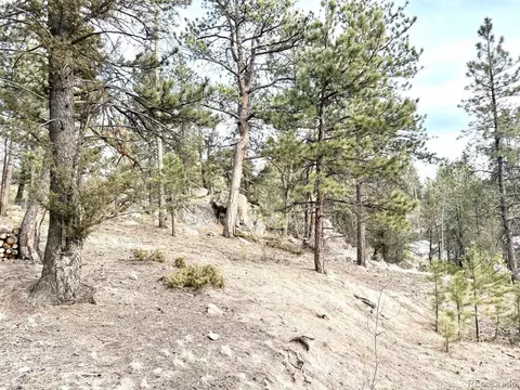 30929 Bear Cub Trl, Conifer, CO 80433 photo 4