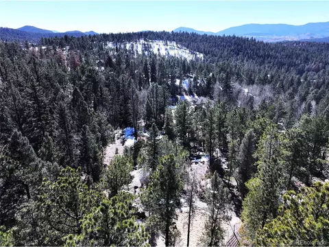 30929 Bear Cub Trl, Conifer, CO 80433 photo 14