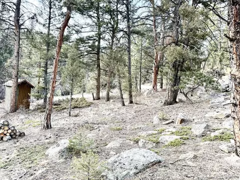 30929 Bear Cub Trl, Conifer, CO 80433 photo 5