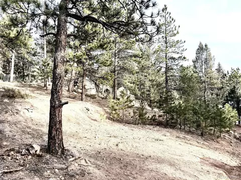 30929 Bear Cub Trl, Conifer, CO 80433 photo 18