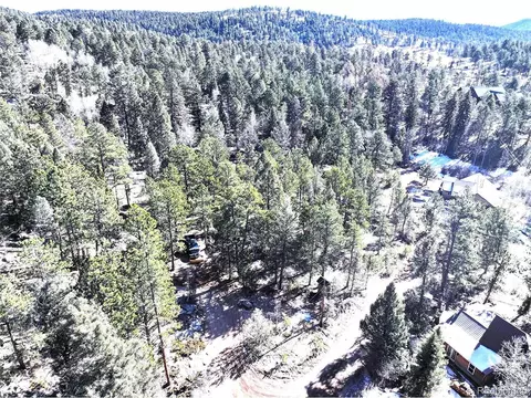 30929 Bear Cub Trl, Conifer, CO 80433