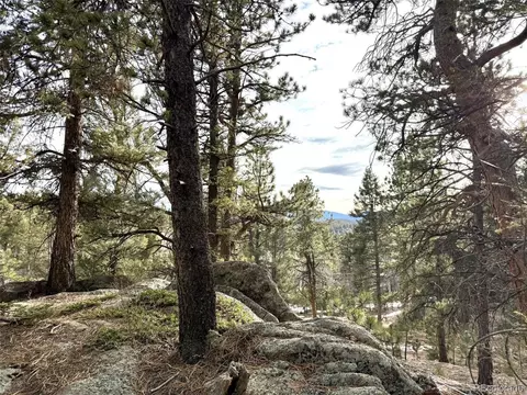 30929 Bear Cub Trl, Conifer, CO 80433 photo 3