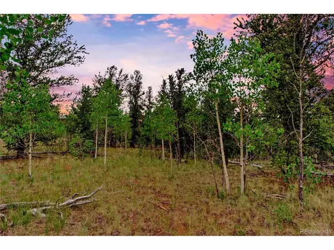 545 Buffalo Ridge Rd, Como, CO 80432