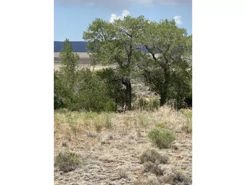 95 Prairie Wind Ln, Capulin, CO 81124 photo 4