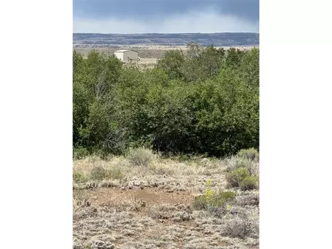 95 Prairie Wind Ln, Capulin, CO 81124 photo 5