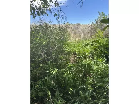 95 Prairie Wind Ln, Capulin, CO 81124 photo 9