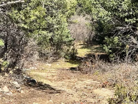92 Forest Ln, Howard, CO 81233 photo 12
