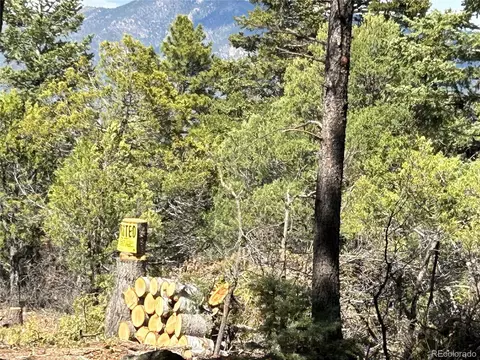 92 Forest Ln, Howard, CO 81233 photo 11