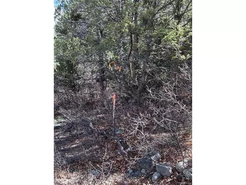92 Forest Ln, Howard, CO 81233 photo 16